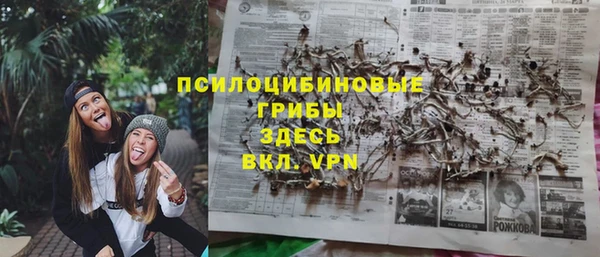 apvp Россошь
