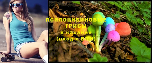 apvp Россошь